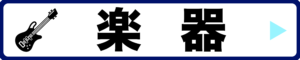 カテゴリー：楽器